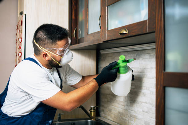 Best Pest Inspection Near Me  in Oxford, GA