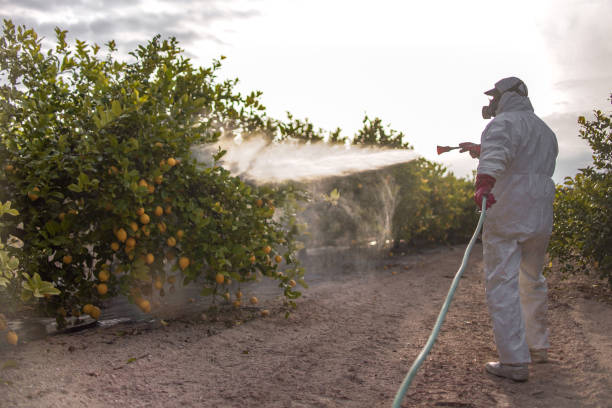 Best Wildlife Control Services  in Oxford, GA