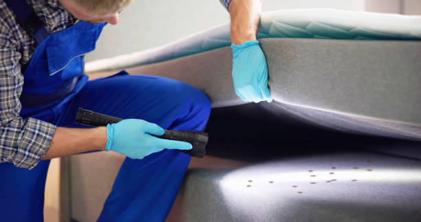 Best Pest Removal Services  in Oxford, GA