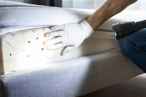 Best Exterminator Services  in Oxford, GA