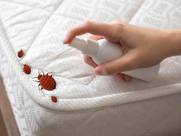 Best Mosquito Control Services  in Oxford, GA