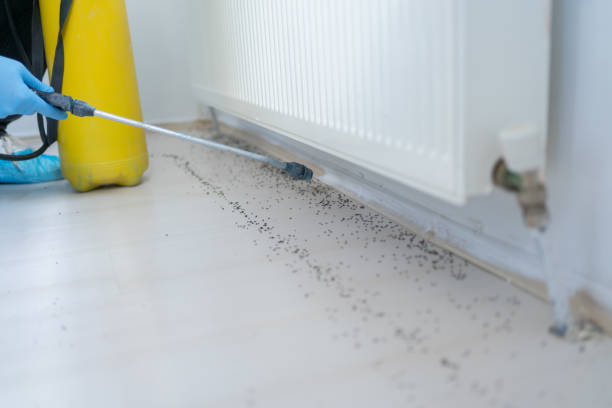 Best Cockroach Control Services  in Oxford, GA