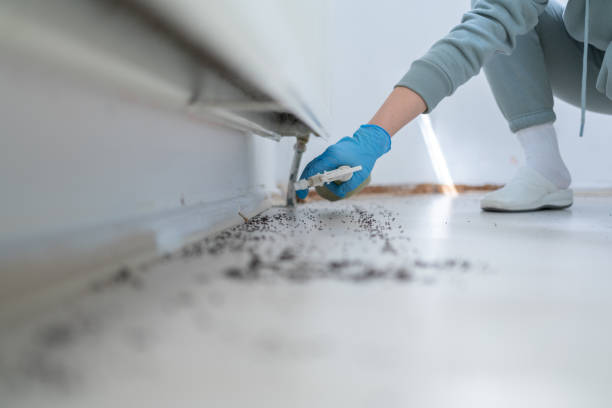 Best Pest Control Near Me in Oxford, GA