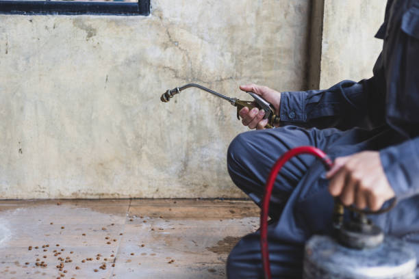Best Exterminator Services  in Oxford, GA